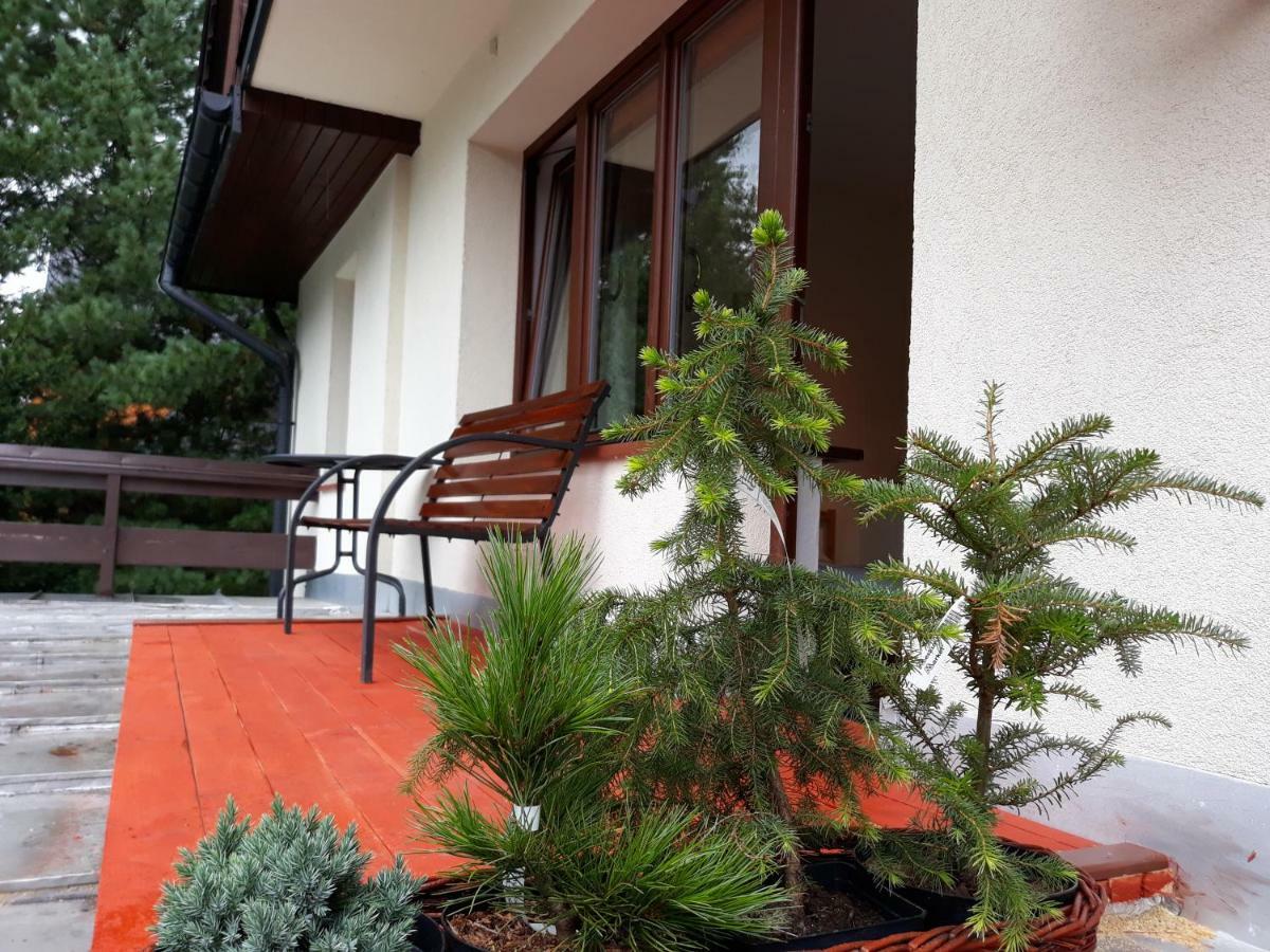 Willa Sichla Murzasichle Apartment Exterior photo