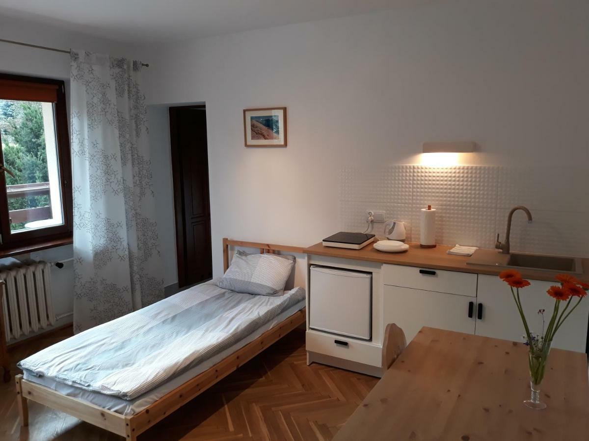 Willa Sichla Murzasichle Apartment Exterior photo